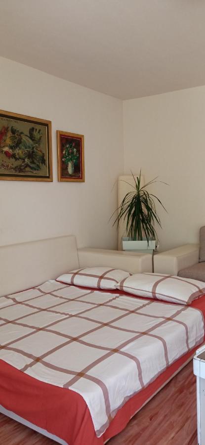 Branysol Apartman Novi Sad Extérieur photo