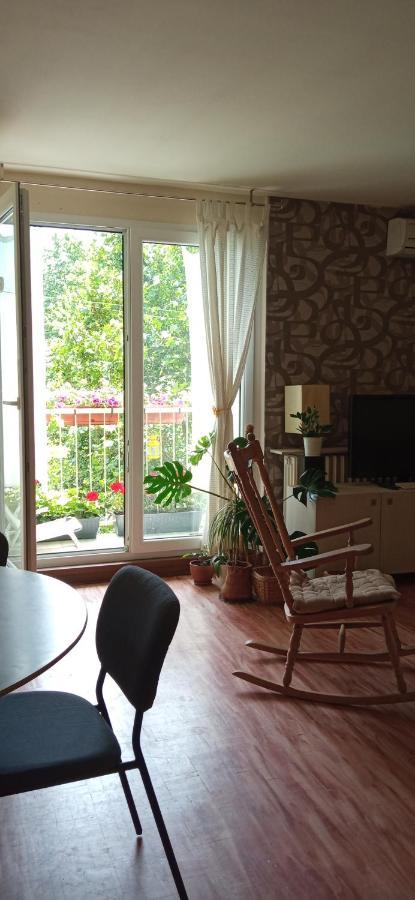Branysol Apartman Novi Sad Extérieur photo